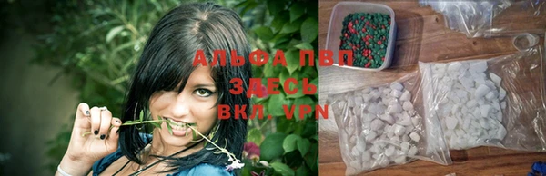 молекула духа Белокуриха