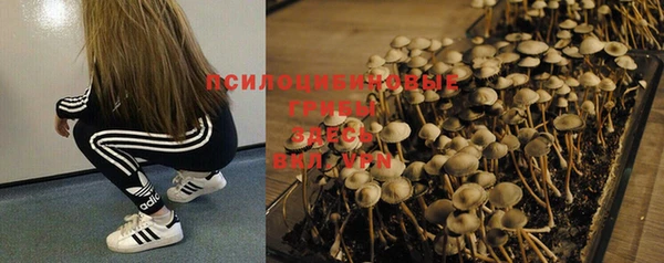 таблы Белоозёрский