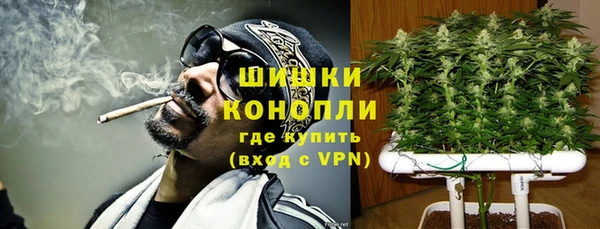 молекула духа Белокуриха