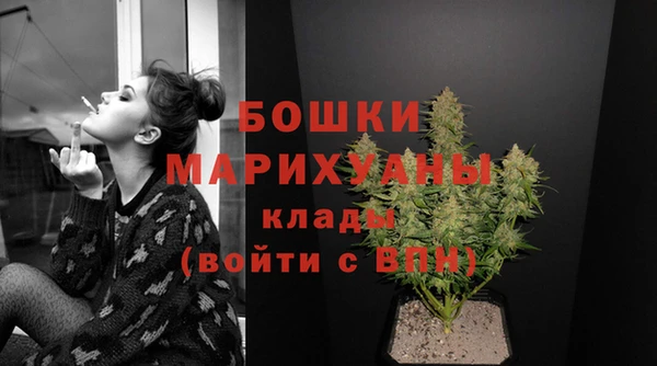 молекула духа Белокуриха