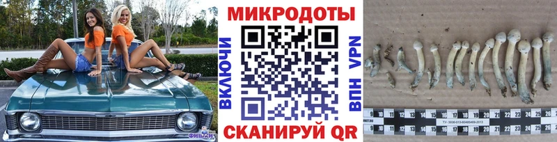Галлюциногенные грибы ЛСД  дарнет шоп  Купино 